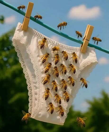 Why Bees Sometimes Visit Your Laundry-