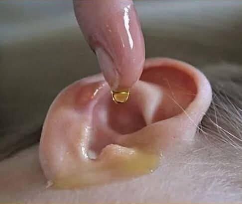 Put 2 drops in your ear and you will hear like before. Recover your hearing.