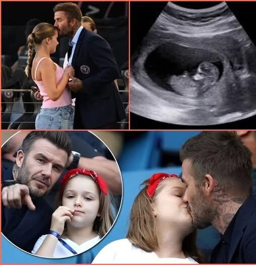 David Beckhams 17 year old daughter Harper is reportedly pregnant but shockingly reveals the babys real father is