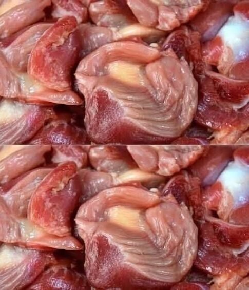 Crispy Southern Fried Chicken Gizzards: A Soul Food Classic 🍗✨