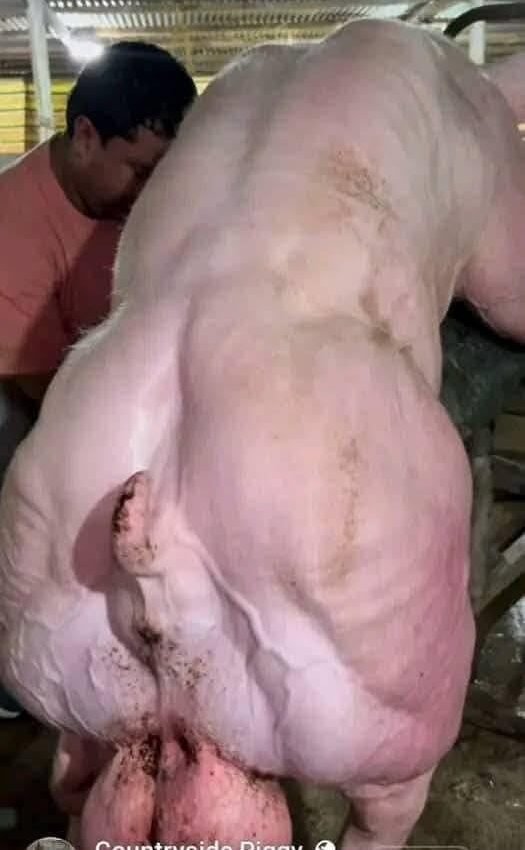 Young man hospitalized after being penitentiated…See more