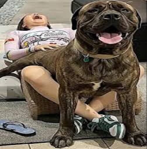 Young woman hospitalized after being penitentiated…See more