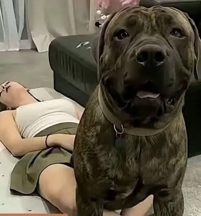 Young woman hospitalized after being penitentiated…See more