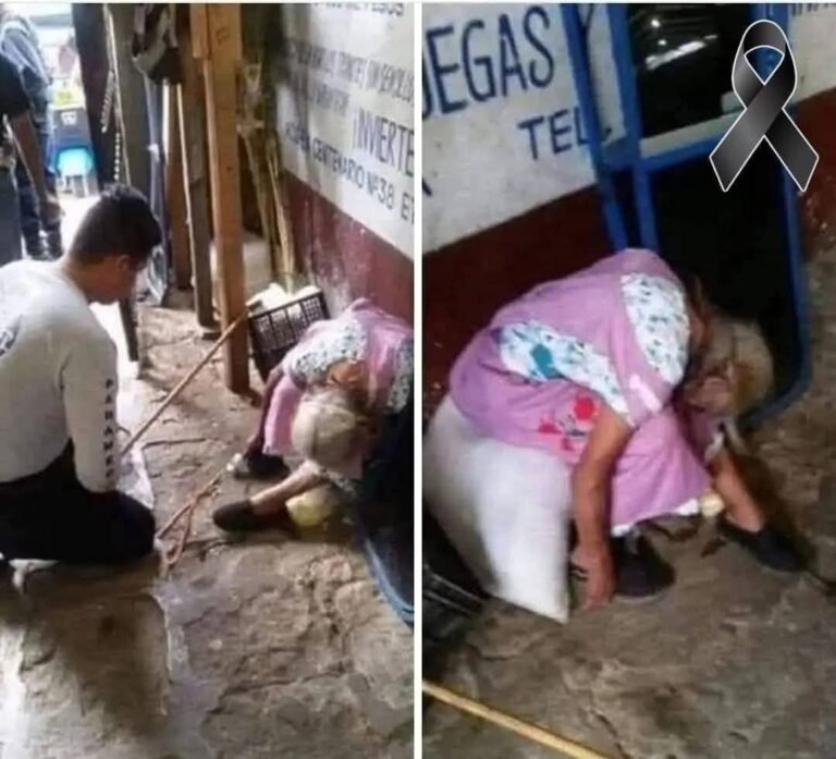 An 85-year-old woman died at the entrance of the market where she sold her wares…See more