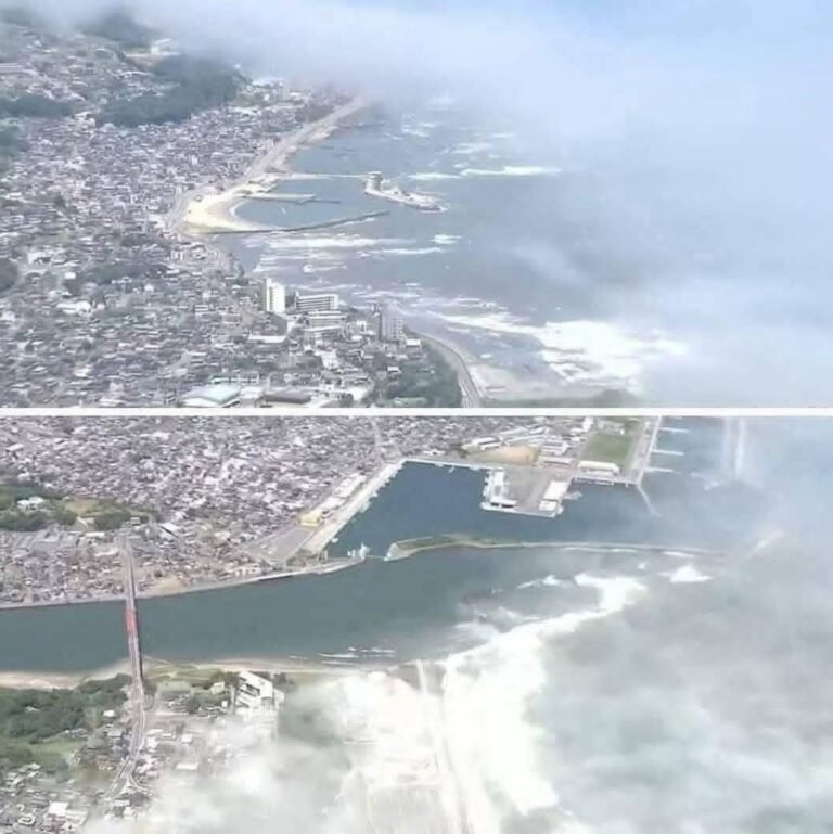 Shocking video today of the arrival of the 8.7 tsunami on the coasts of the terri… See more