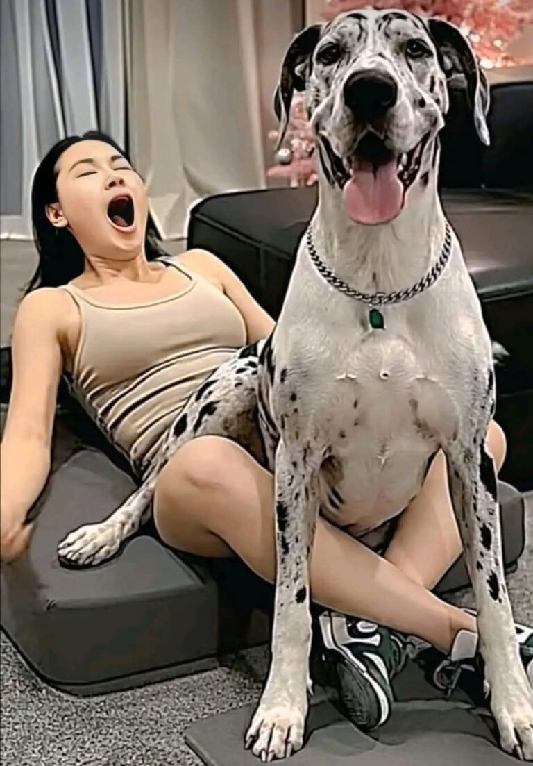 Young woman hospitalized after being penitentiated…See more