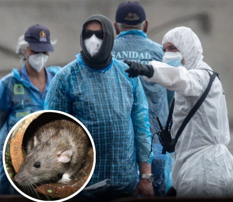 List of countries linked to deadly hantavirus as ‘patient zero’ identified after visiting rat-infested landfill