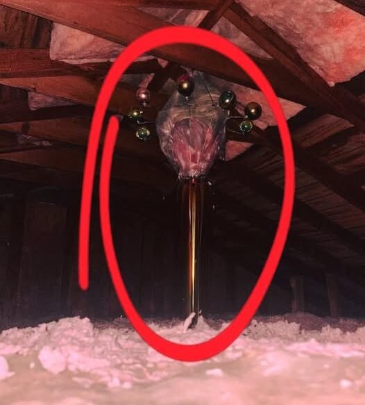 The Hidden Truth About What Might Be Lurking in Your Attic and Why Those Strange Objects Aren’t What They Appear.